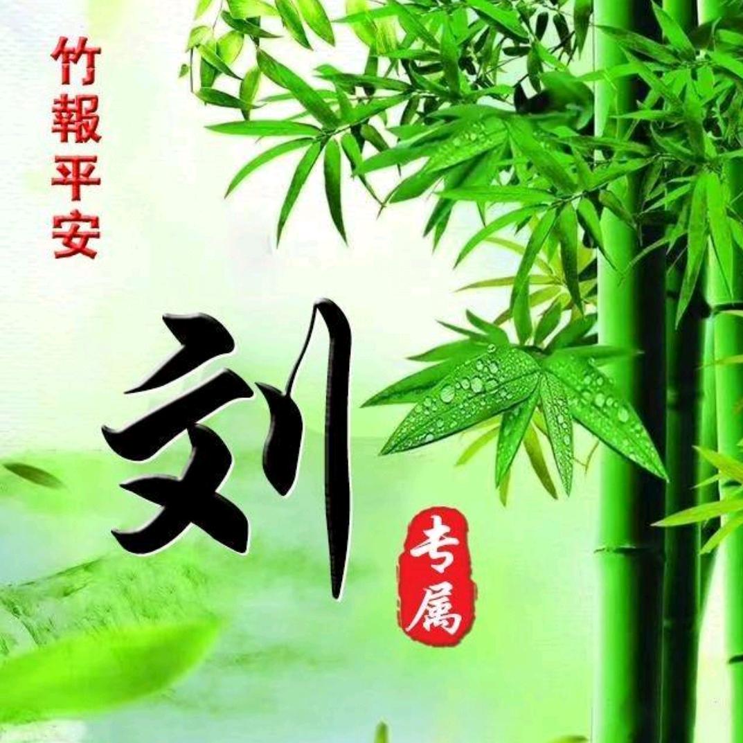 硕宝