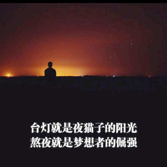 飞1