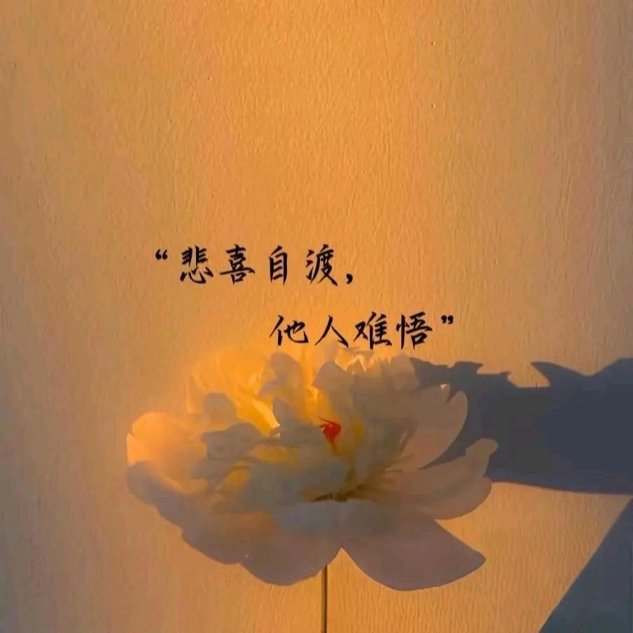 金玉梁闫
