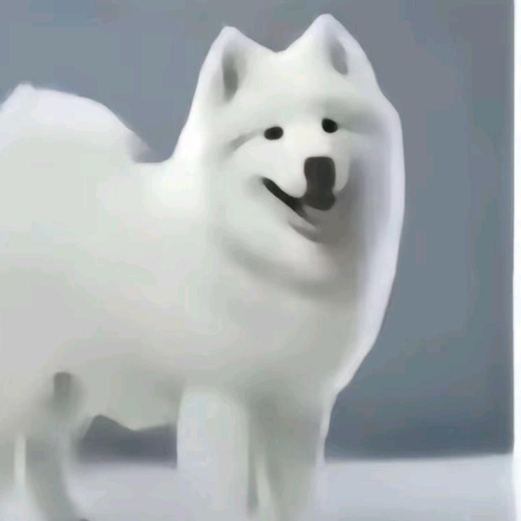 南笙一梦。