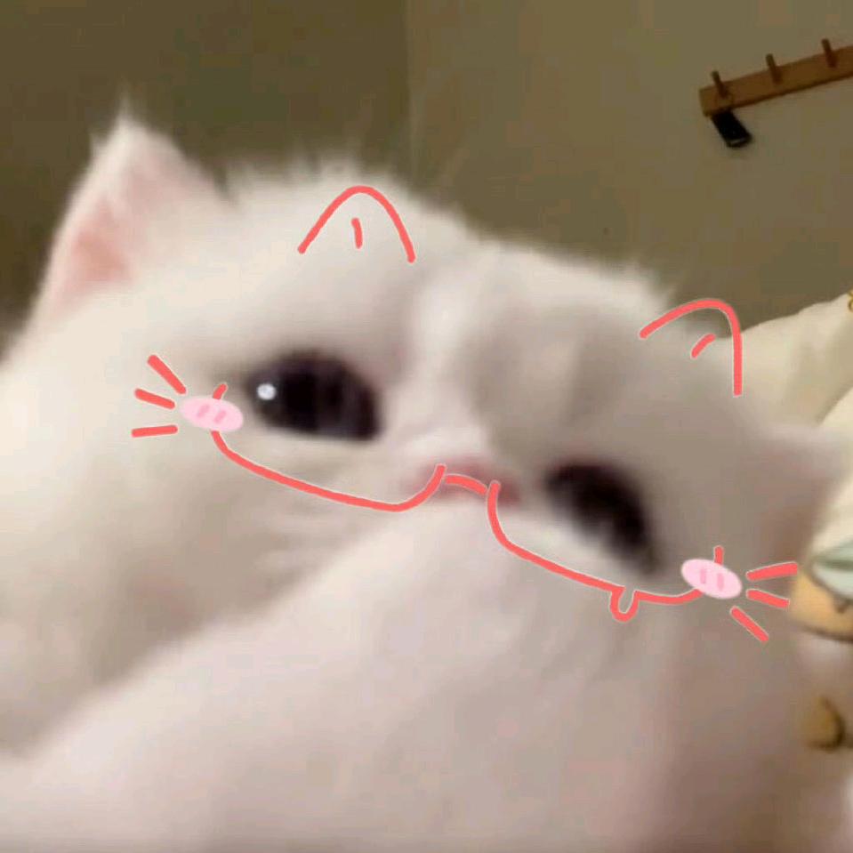 长安某✔