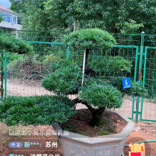 汉龙宾馆