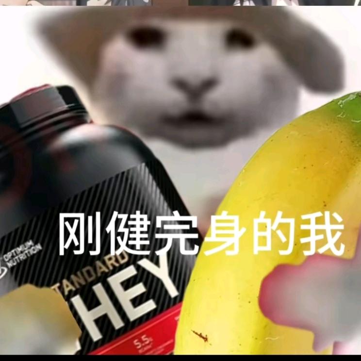 标体游泳健身-龙马