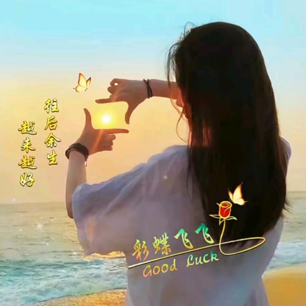 🦋💞彩蝶飞飞🌺🌺