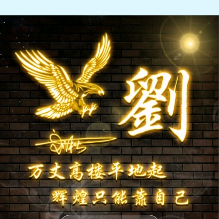 a淡定刘