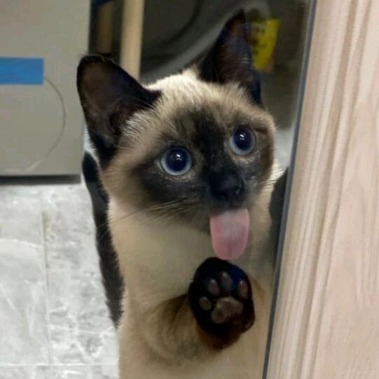 Pablo