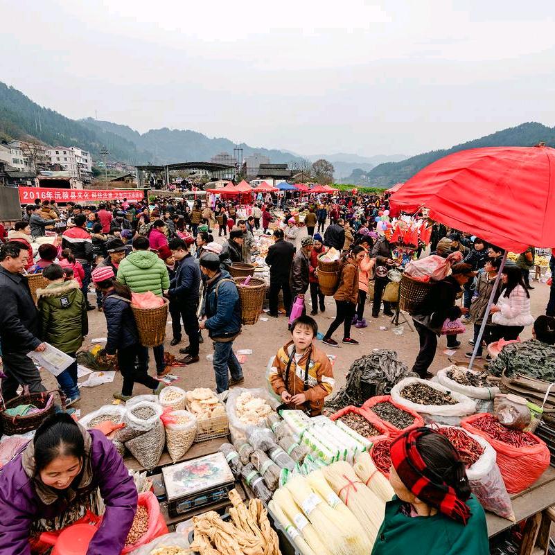 户外东哥走农村