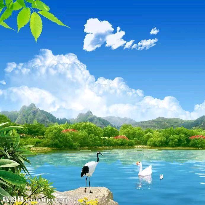 ✨人淡如菊💫