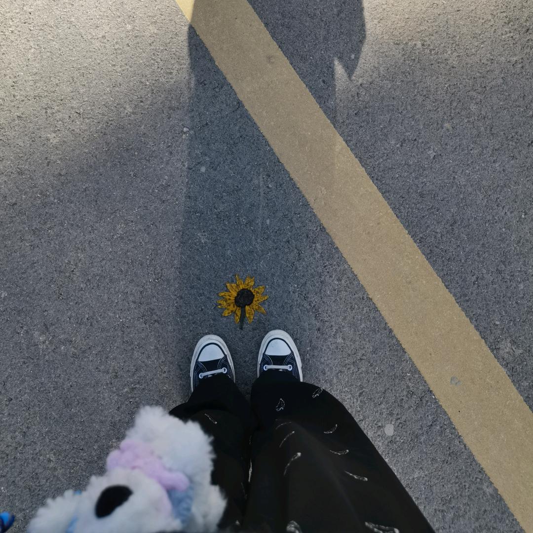 星🌟🌟🌟