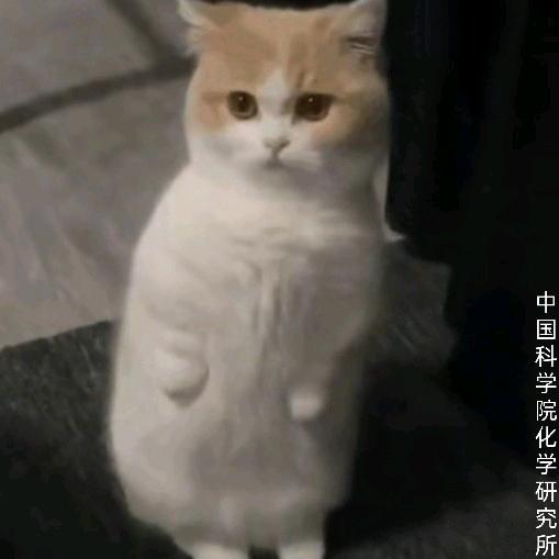 亦然.
