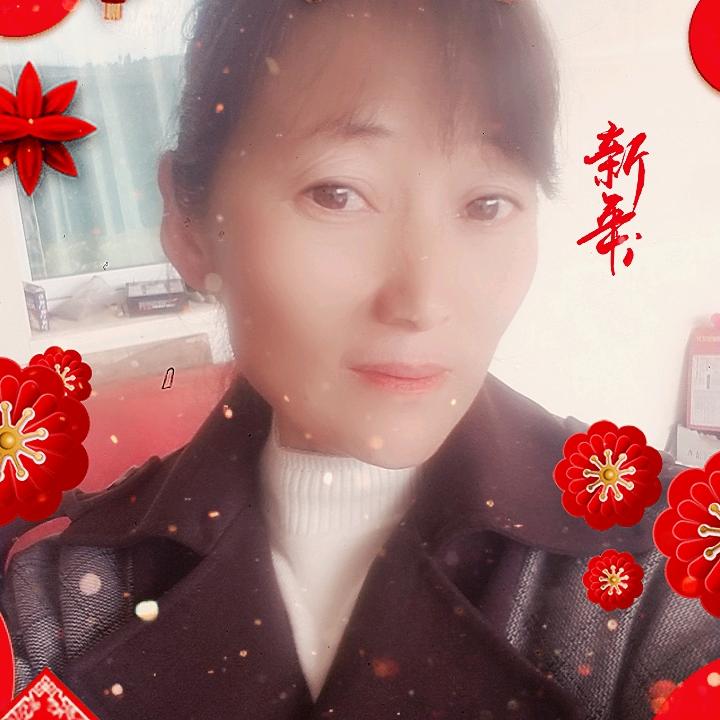 石榴李子种植