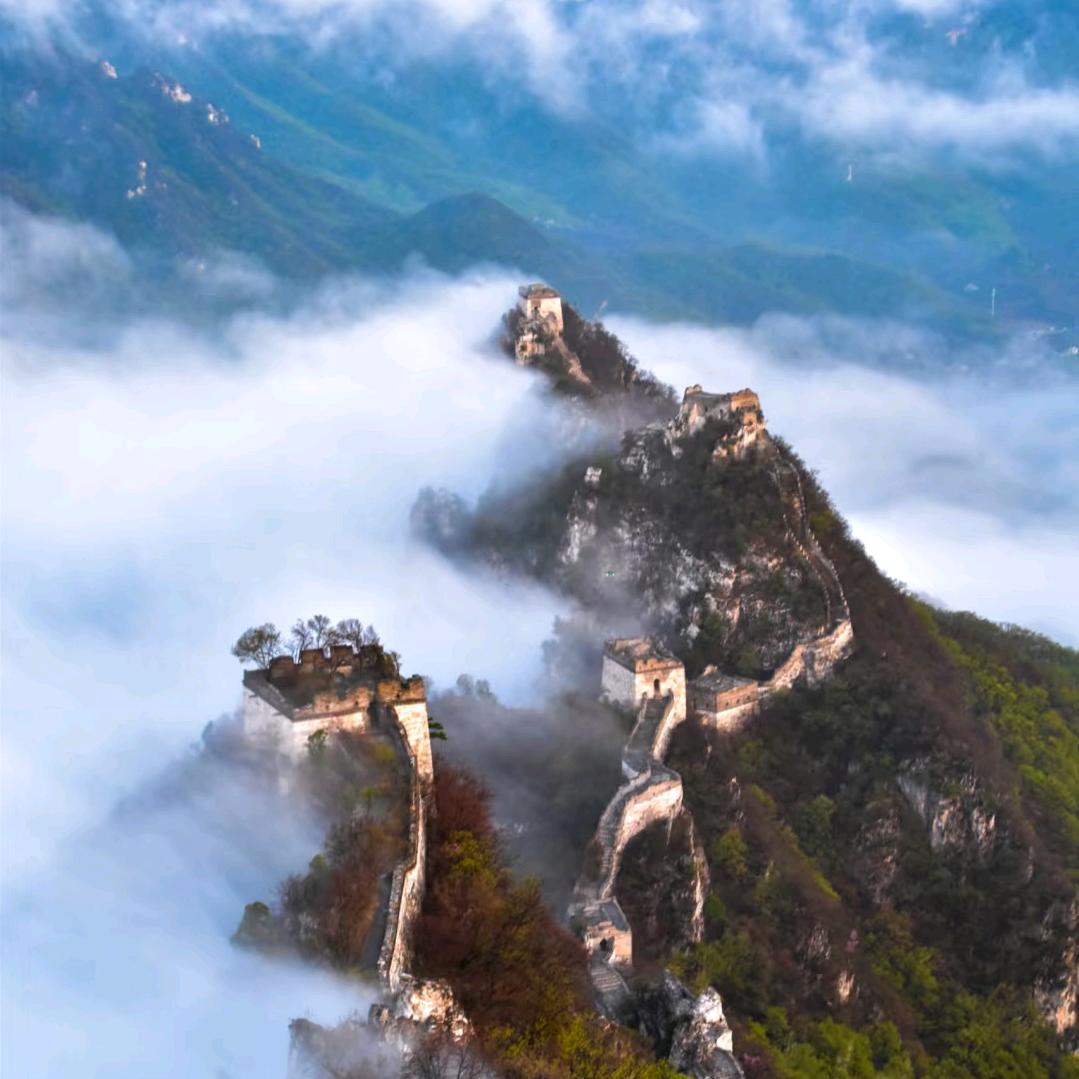 城南客-凡夫俗子