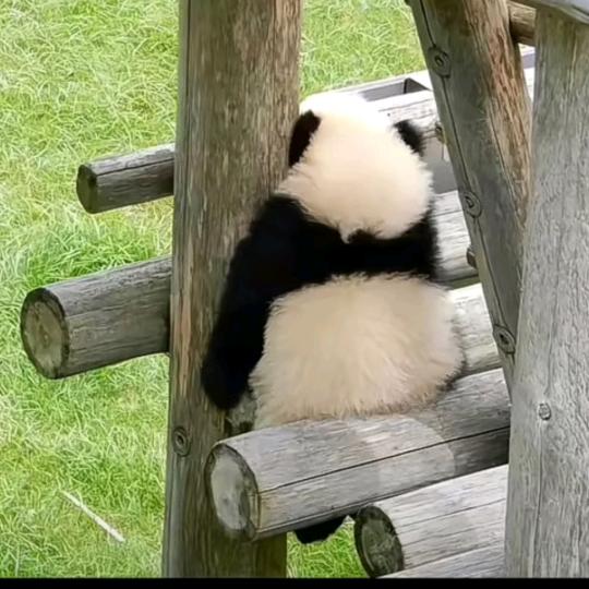 我也不知道叫什么名字