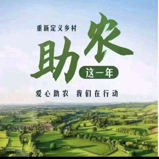 骑着大鹅去放羊