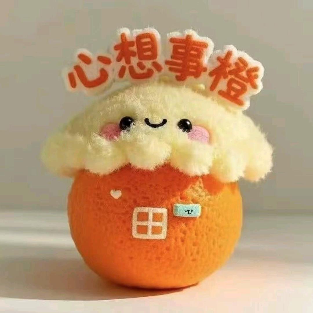 小圆不圆（赣南脐橙版）