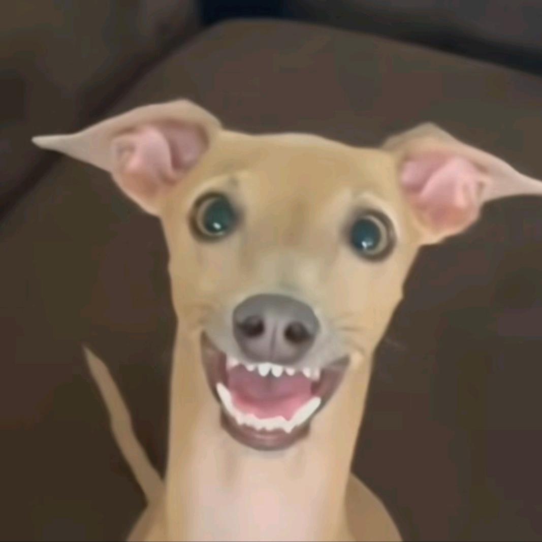 针不戳