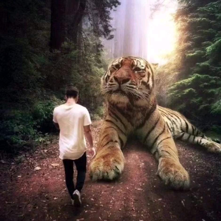 笋达减肥日记