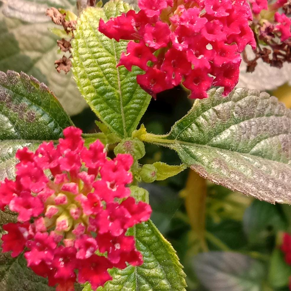 用户9281148617012星