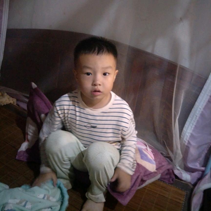 波波，(明仔团队)