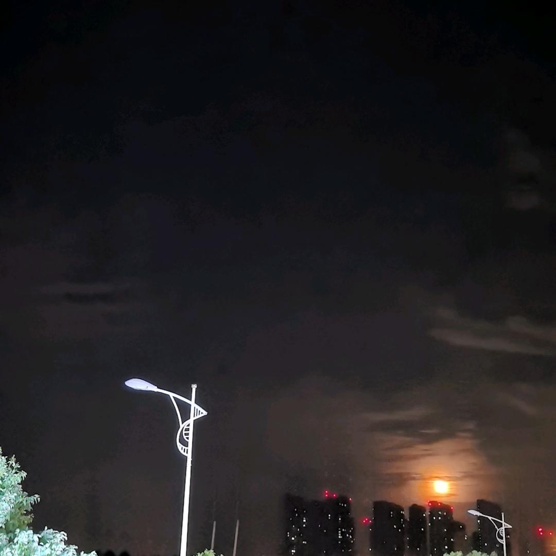 冷眸