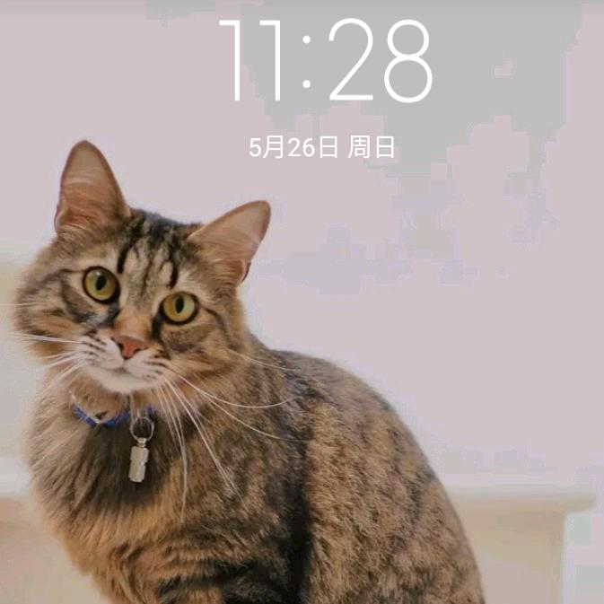 辉友书舍