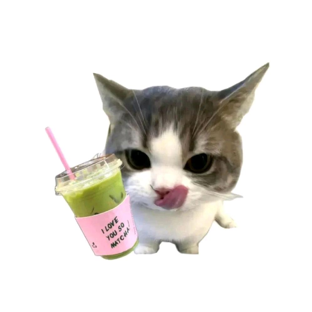 苦云荔