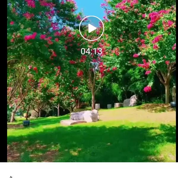 吾买尔江·吐尔逊