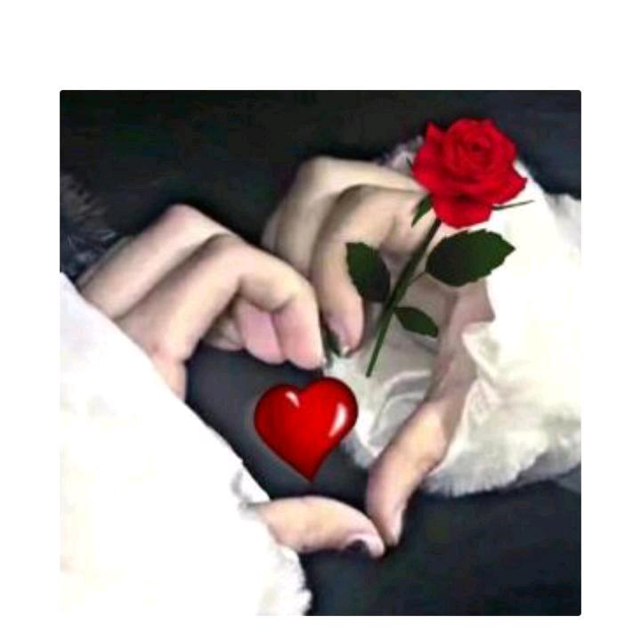 叶子🌹🌹