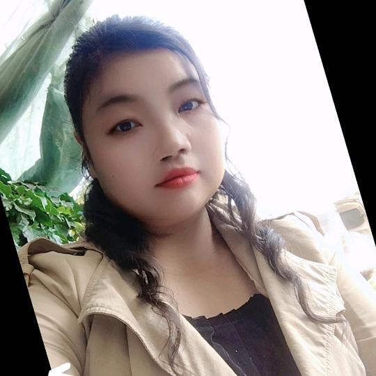 燕归来