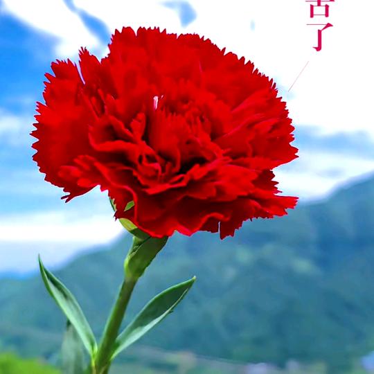 好物推荐好美满