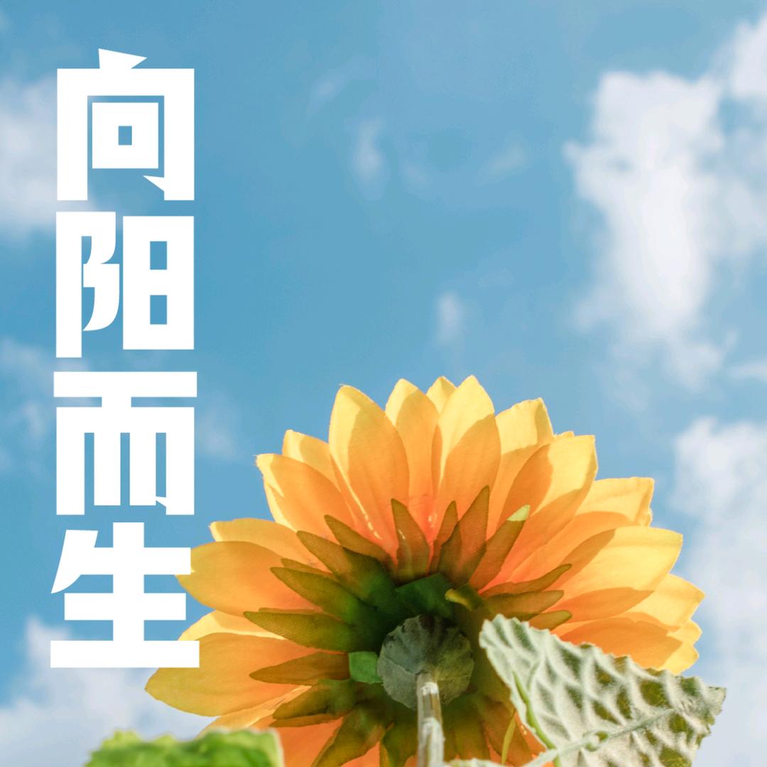 二哥生活号