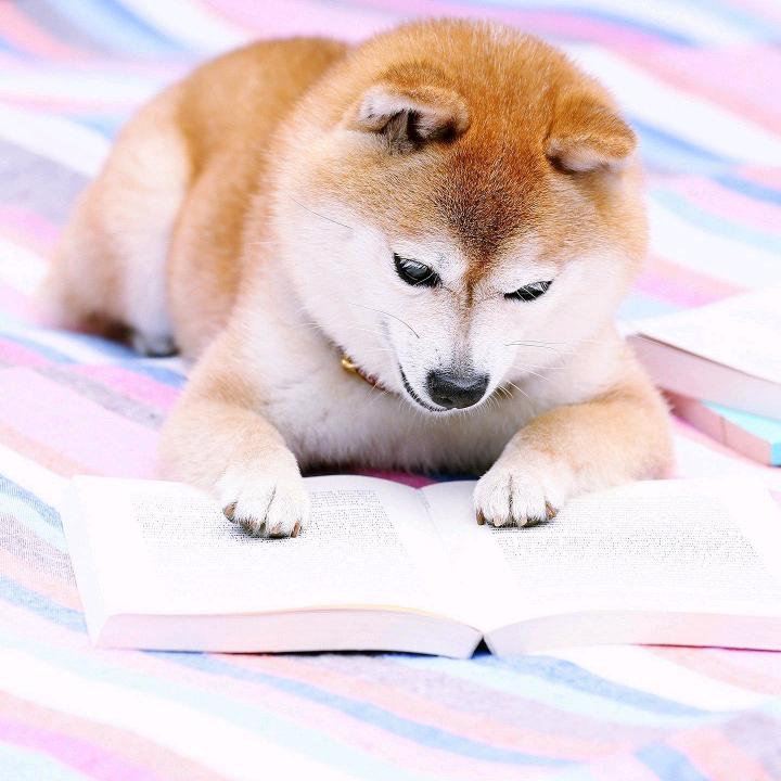 大王