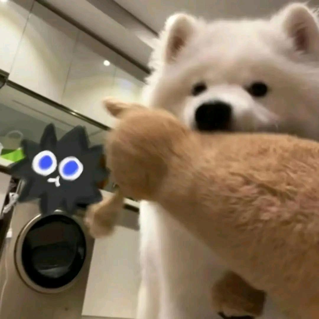 隐
