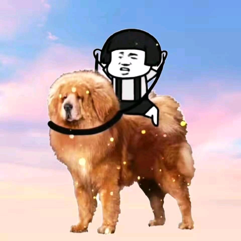 艳阳高照