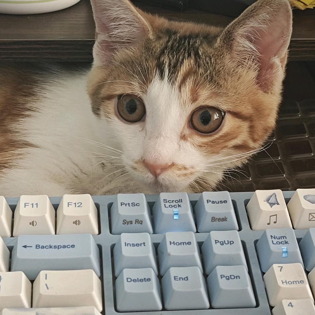 起名怪物