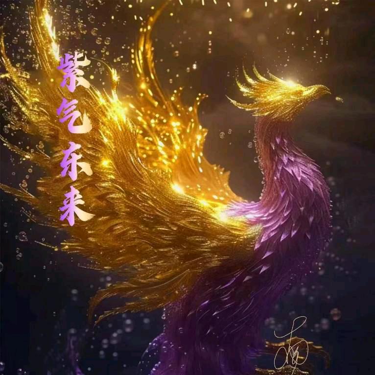 9快乐