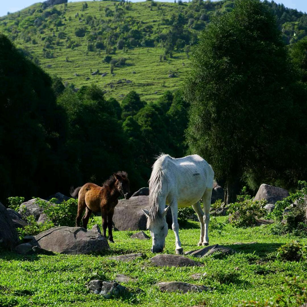 不瘦下来不改名