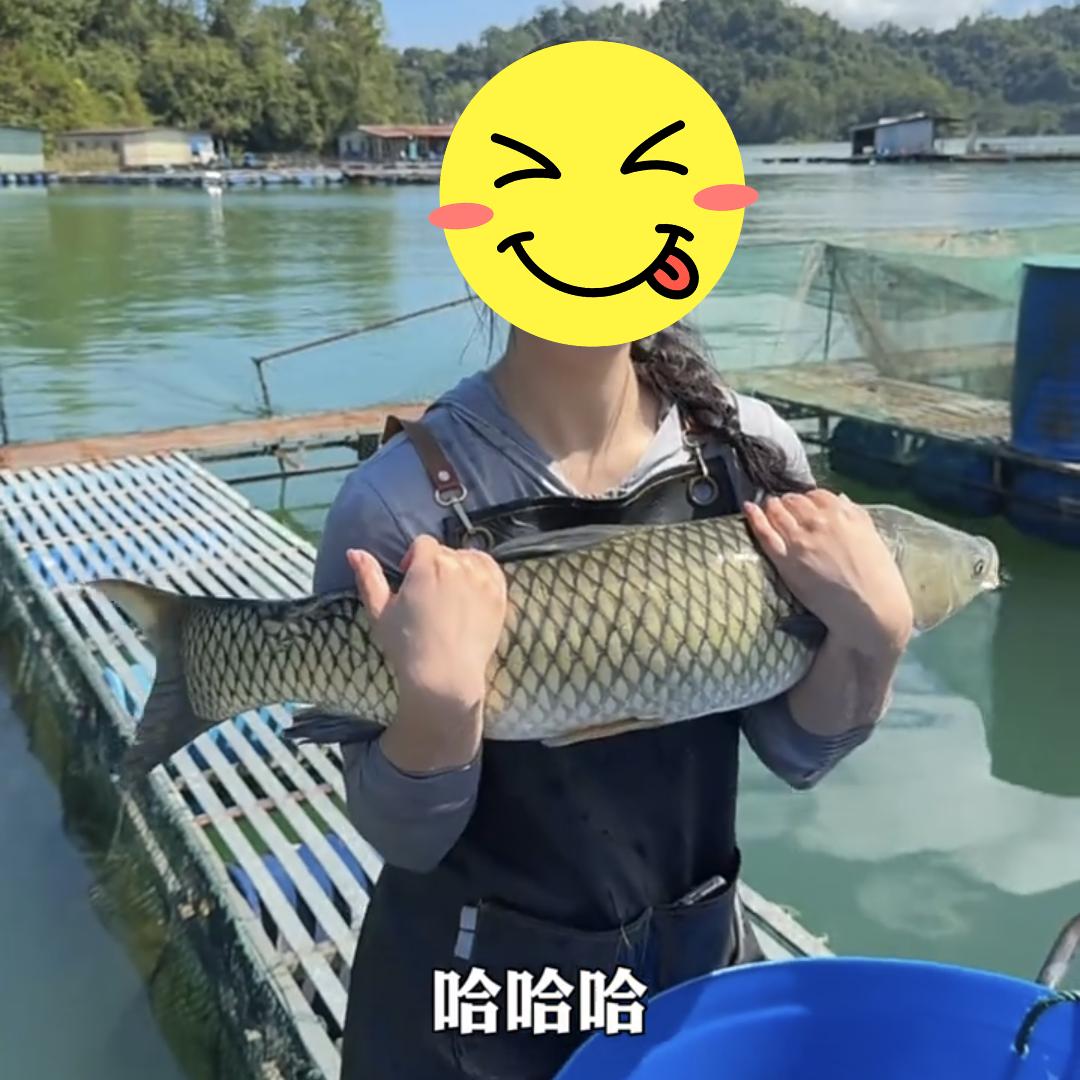 雄牧-水产小芹