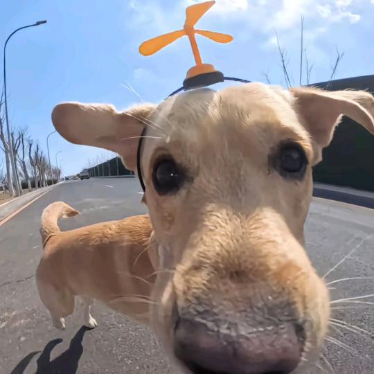 手痒，又想刷……