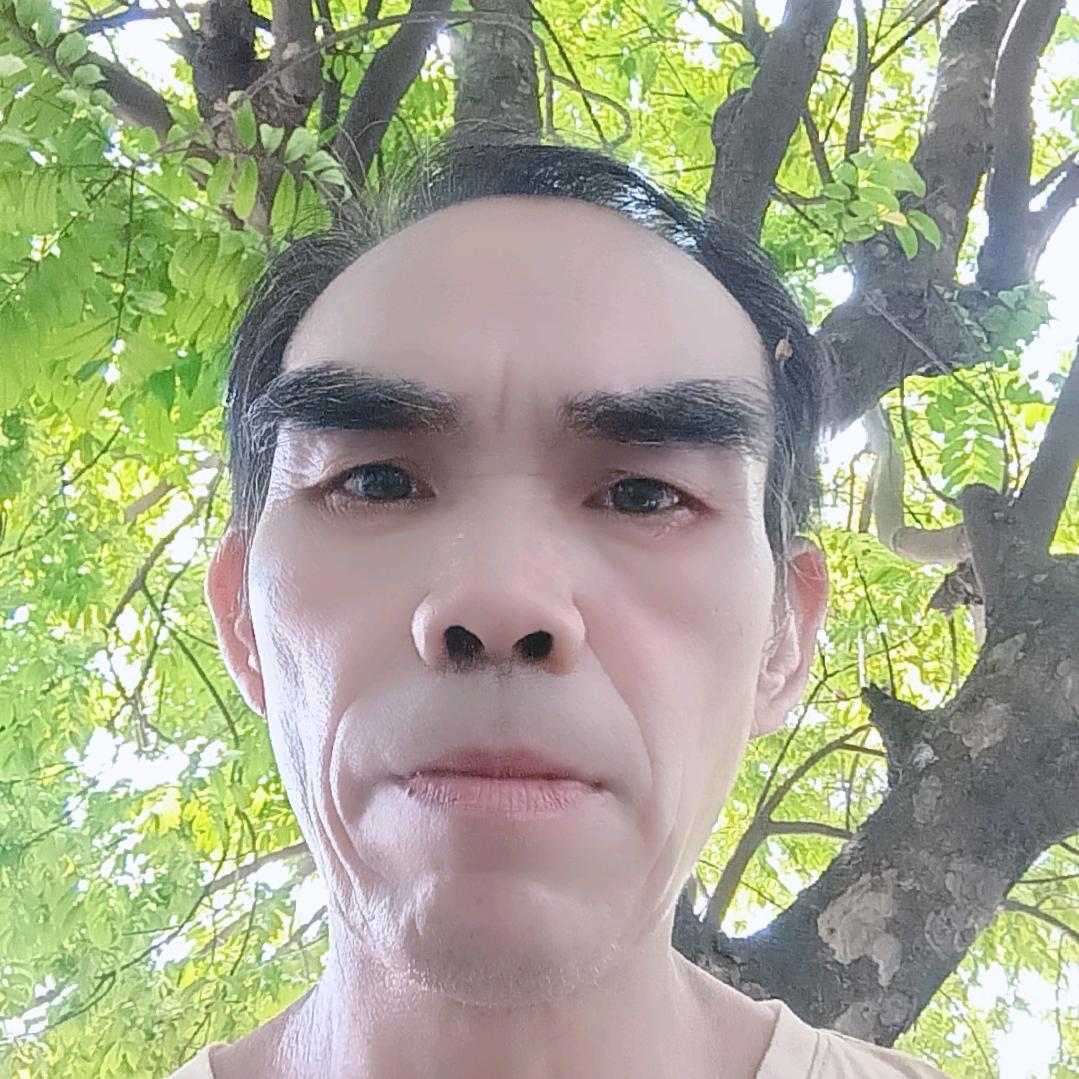 张惠春
