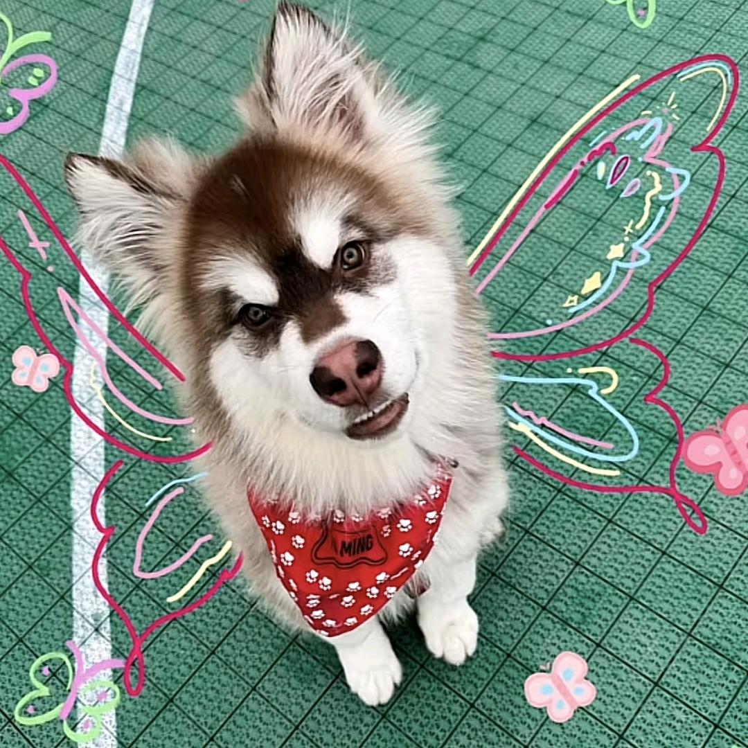 三只眼睛