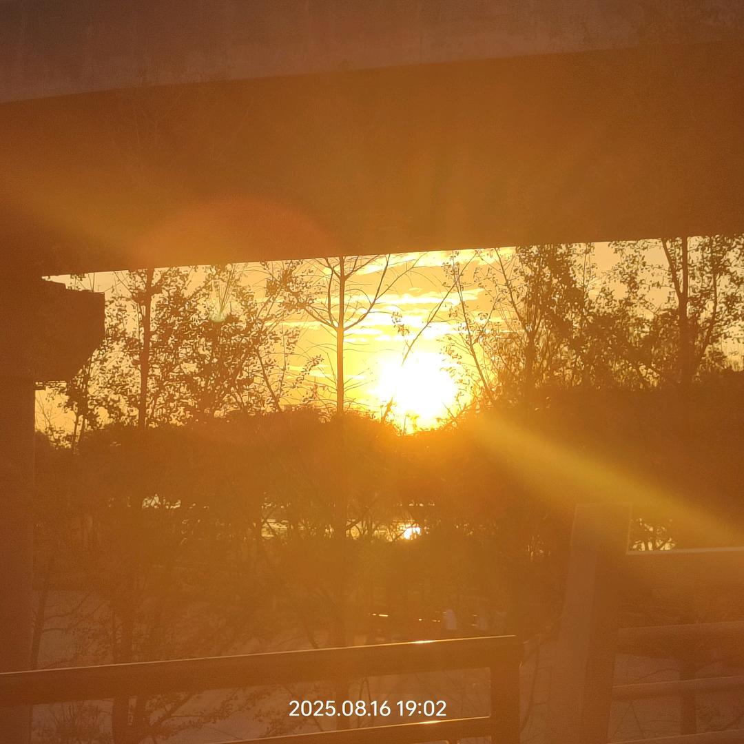 王四碗不能只会吃辣