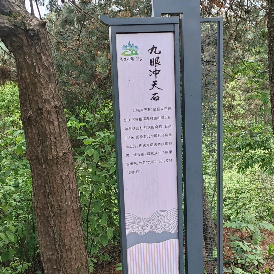 啊贵
