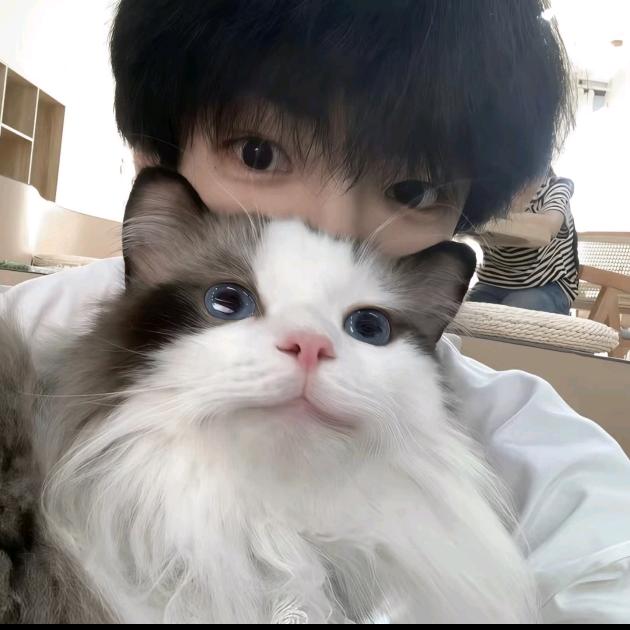 商洛学院阿龙学长（主页有群问必答）