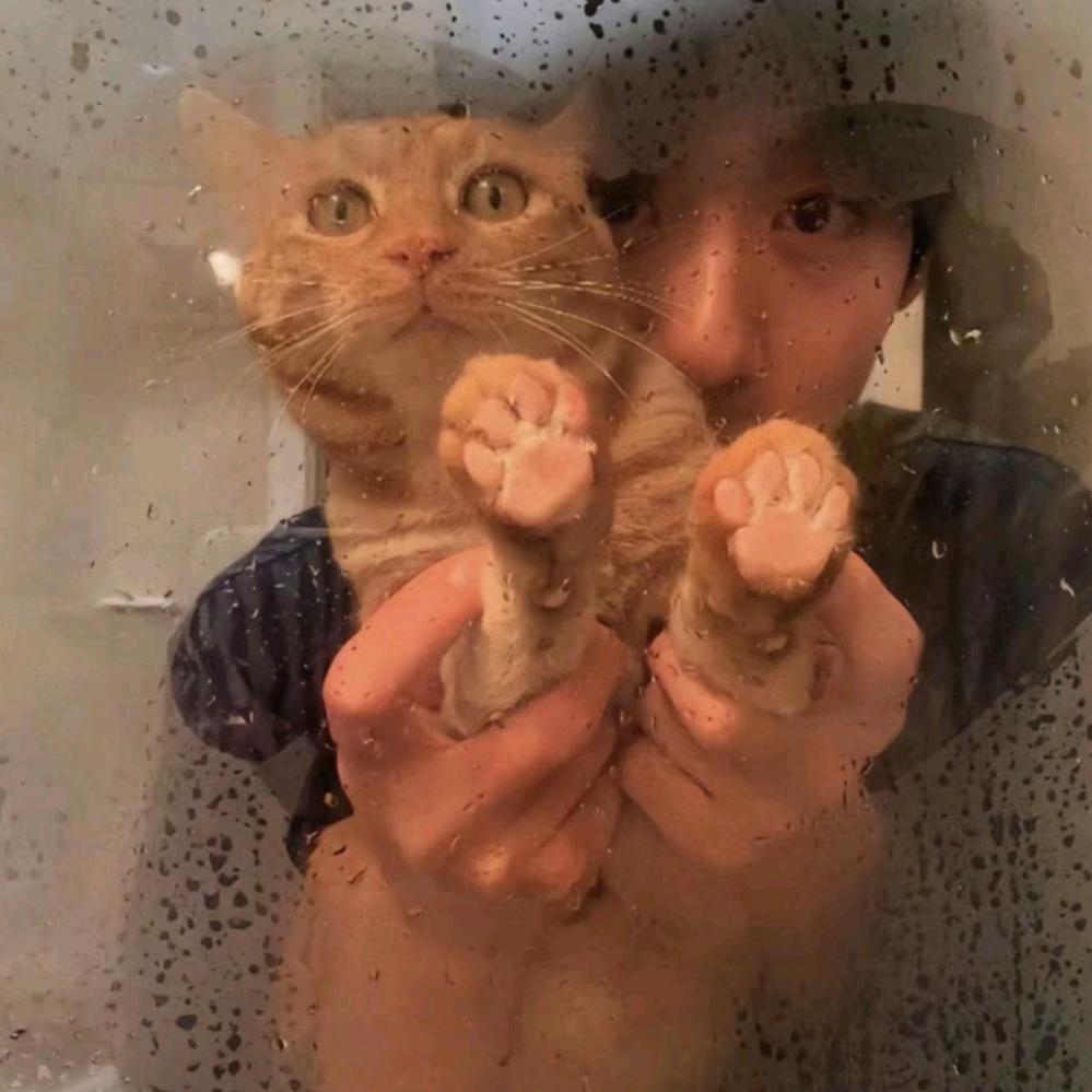 长的丑还没钱