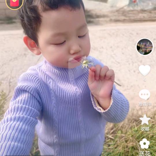 瑞安9811