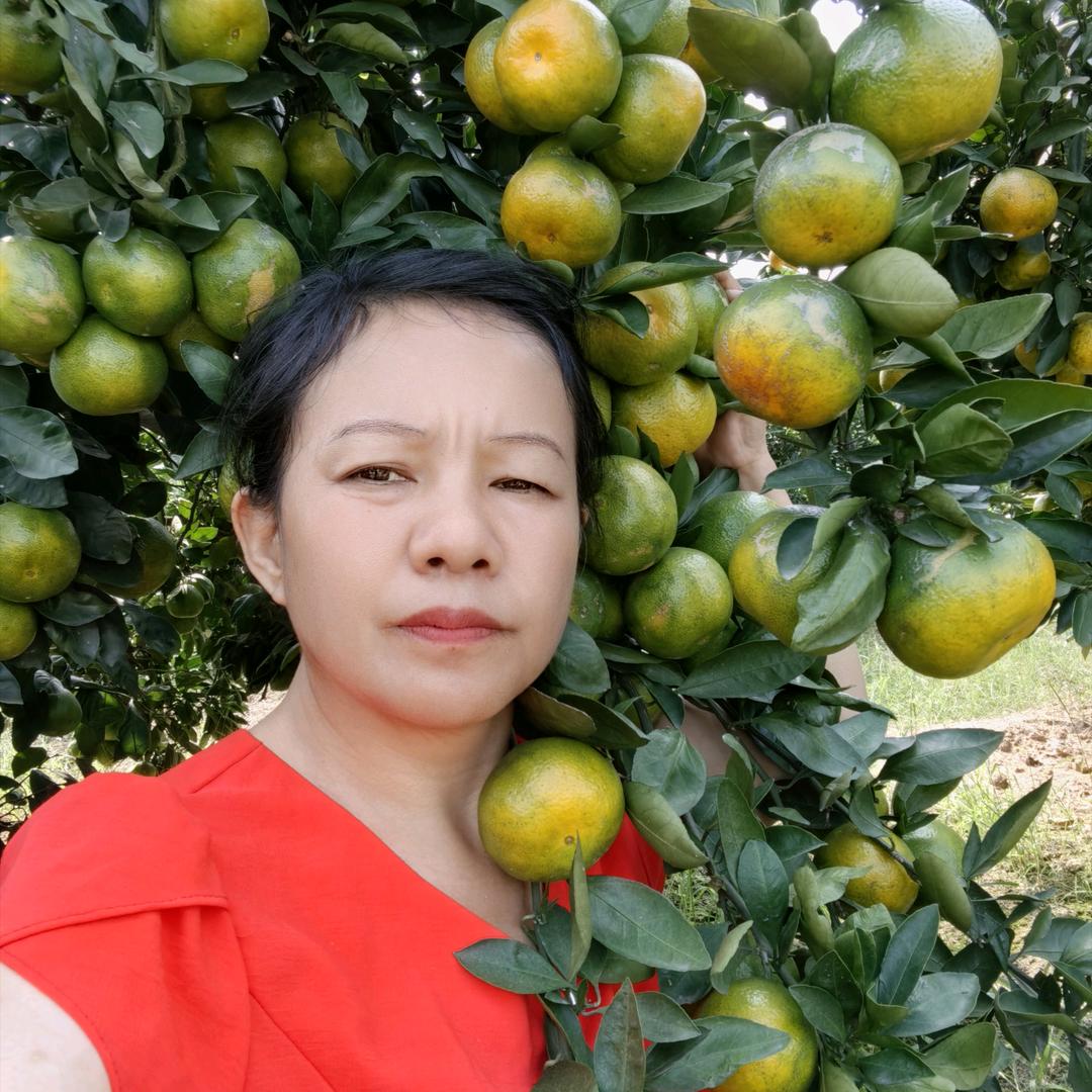 钟陈（助农）优质土特产店