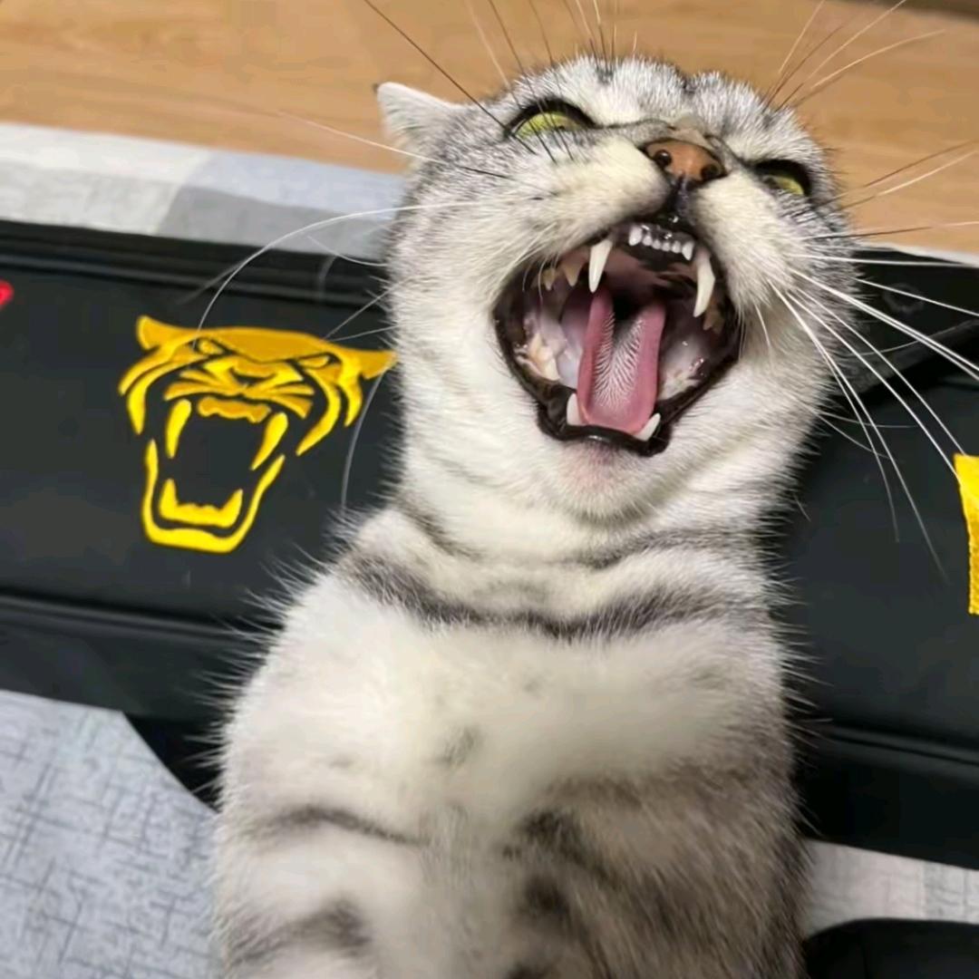 @Ta