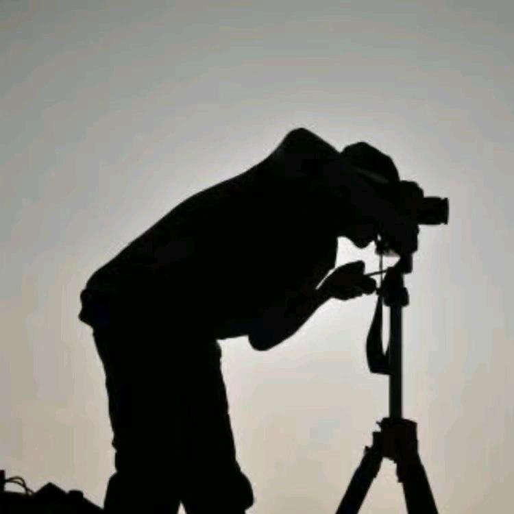 @图图治愈馆主🌈