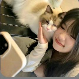 在睡亿分钟 💤